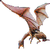 Brown Dragon