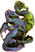 Two Multi Coloured Dragons