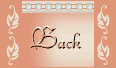 back_BUT10.gif (3356 bytes)
