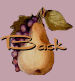 back_BUT20.gif (3708 bytes)