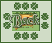 back_BUT32.gif (3998 bytes)