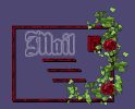mail_BUT4.gif (4718 bytes)