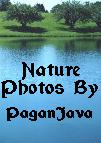 A site with some beautiful Nature pictures and some Pagan poetry