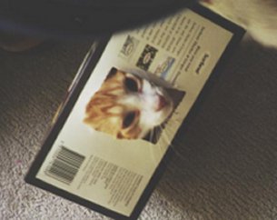 box2.jpg (14753 bytes)