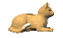catlay.gif (9267 bytes)
