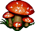 mushroom.gif (4972 bytes)