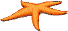 starfish.gif (4027 bytes)