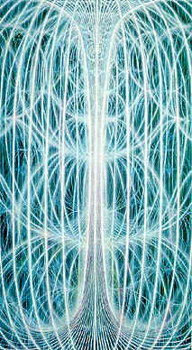 Physical Transformation, The Course In Miracles, Foundation For Perfect Peace