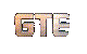 GTE INS