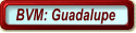 BVM: Guadalupe