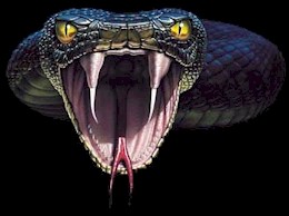 ssssssssssssssssssssssssssss