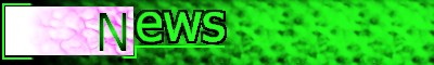 News Logo