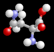 Asparagine