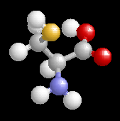 Cysteine