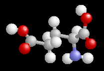 Glutamic Acid