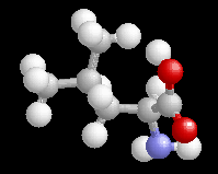 Leucine