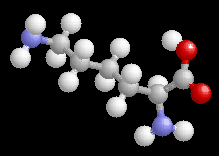 Lysine