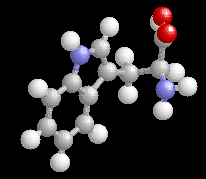 Tryptophan