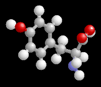 Tyrosine