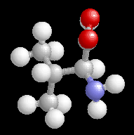 Valine 3-D Space-Filling Representation