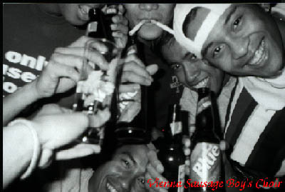 vsbc.jpg (28390 bytes)