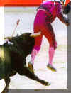 bull.jpg (23568 bytes)