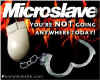 microslave.jpg (16456 bytes)