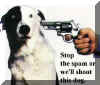 spamdog.jpg (22387 bytes)