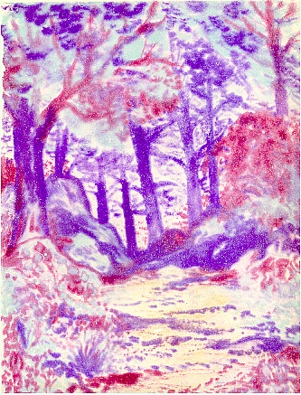 Forest Landscape