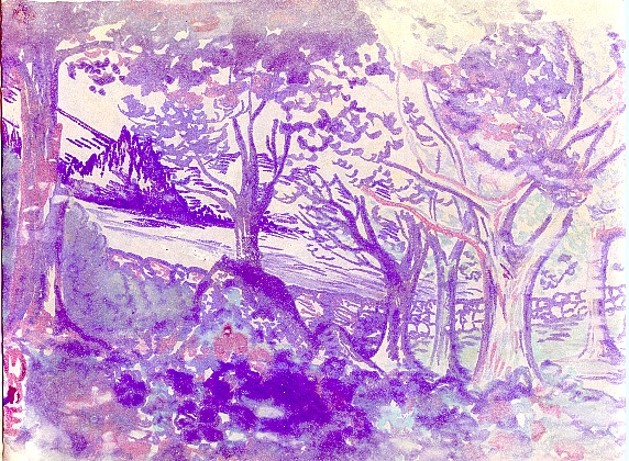 Orchard Landscape