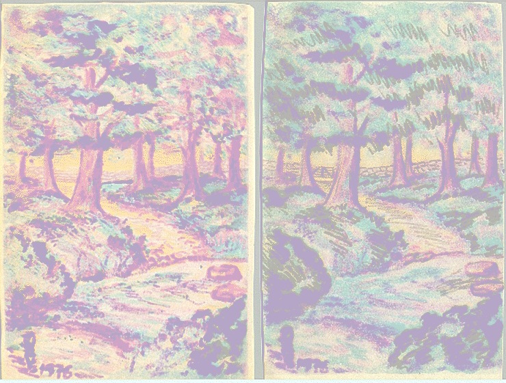 Two Paths Diverged...