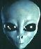 ufo australia grey click to enter ufo chat room