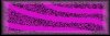 purpleborder.jpg (1580 bytes)