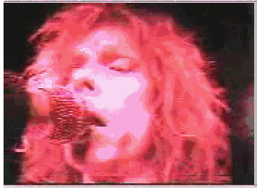 aeroliveani2.gif (66029 bytes)