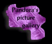 orgbtn5.jpg (6072 bytes)