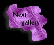 pbxprplbtn4.gif (6072 bytes)