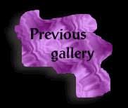 pbxprplbtn5.gif (7811 bytes)