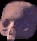 pbxskullbtn.gif (2113 bytes)