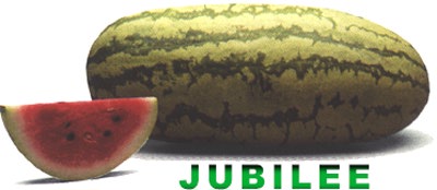 Don't waste the seeds, man.  Eat them, for that is where the watermelon's true power lies.