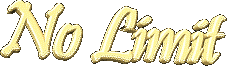 No Limit... Pyro Ltd. �1999