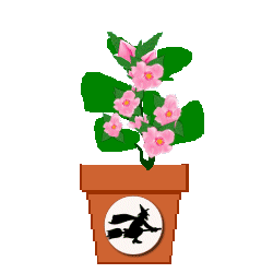 The Site Fights Spirit Flowers