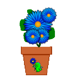 The Site Fights Spirit Flowers