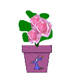 The Site Fights Spirit Flowers