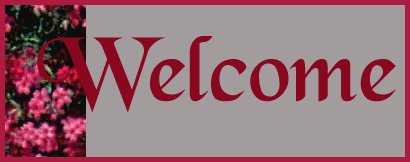 font used is blackchancery, see fontkid n best viewed with 800