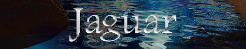 Jaguar