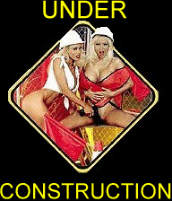 CONSTRUCTDV.GIF (20966 bytes)