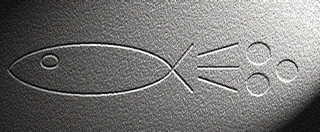 shitfish.GIF - 311 KB