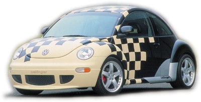 beetle.jpg (22686 bytes)