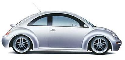 beetle2.jpg (11485 bytes)