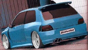 clio5.jpg (16355 bytes)